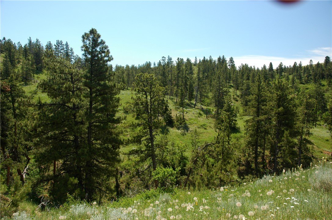 Remote Montana Land for Sale