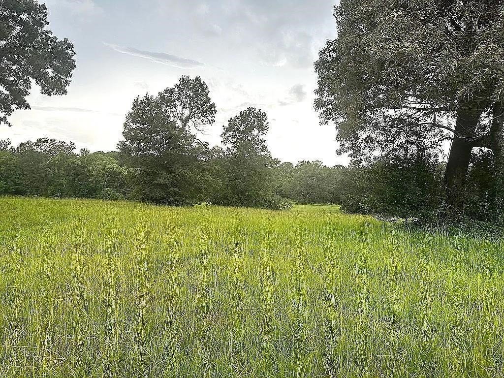 Picture 21