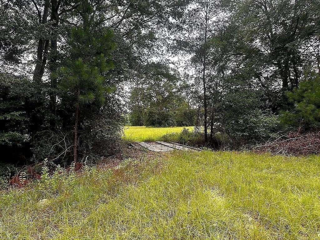 Picture 11