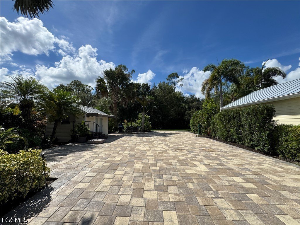 Picture 5