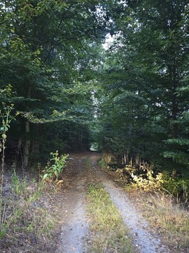 Land, Moneta, VA