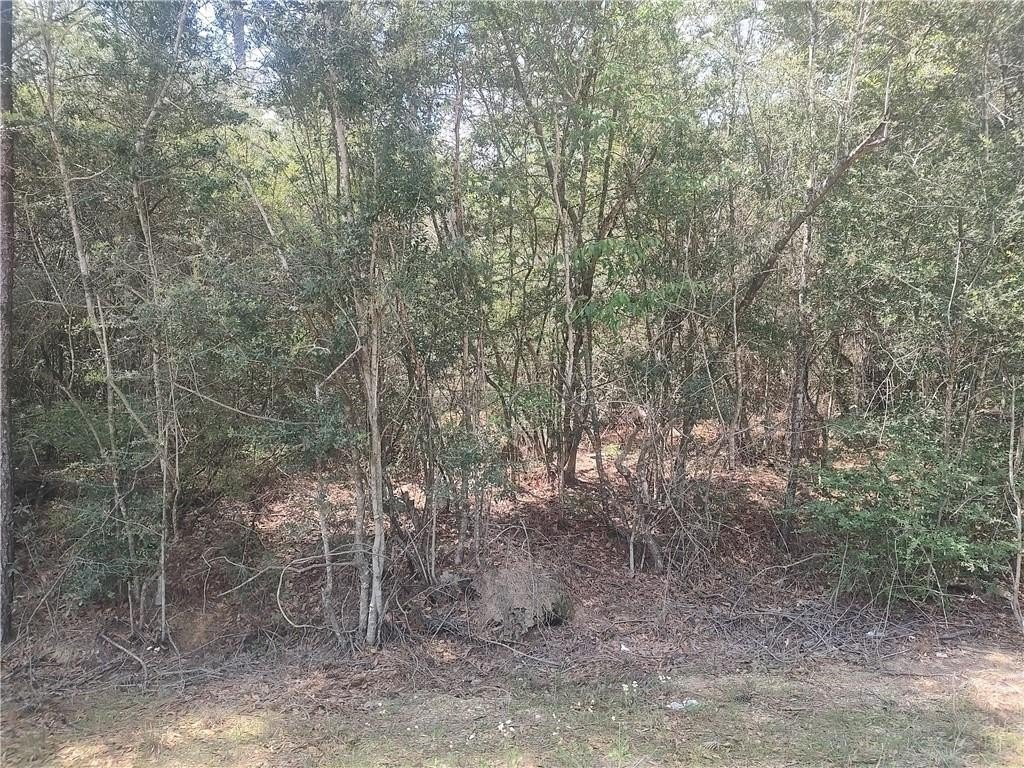 Picture 4