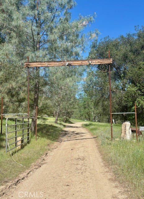 Picture 4