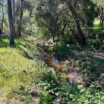 36.83 Acres of Land