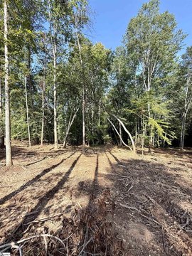 Greer, SC Land Opportunity