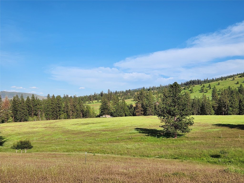 Picture 43
