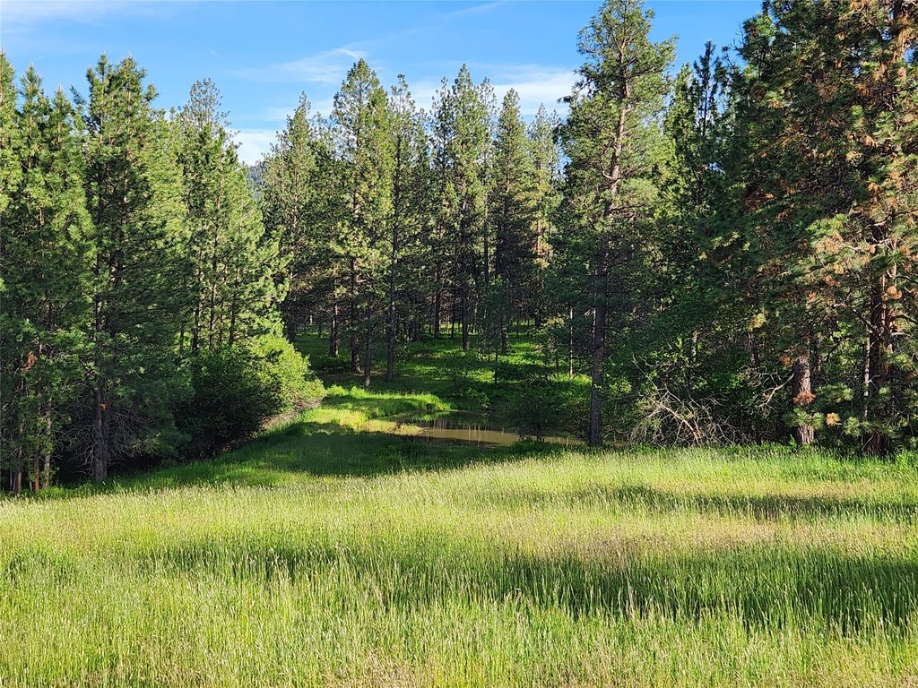 Picture 40