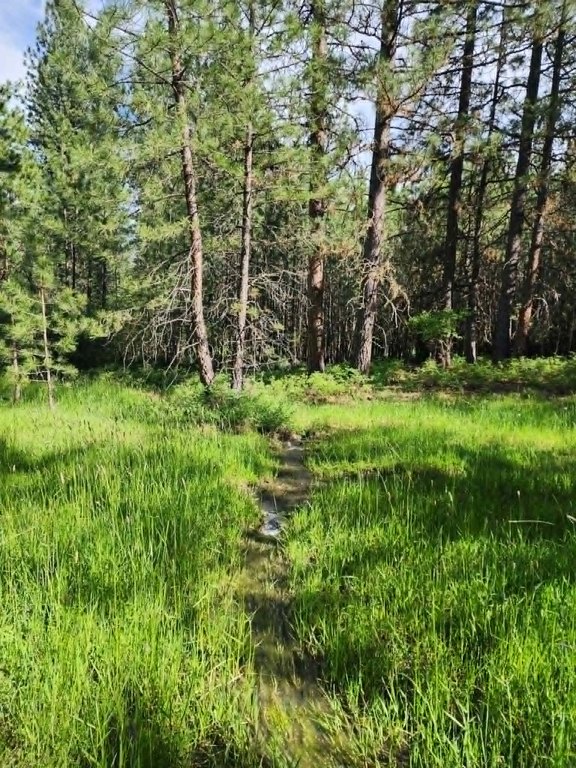Picture 9
