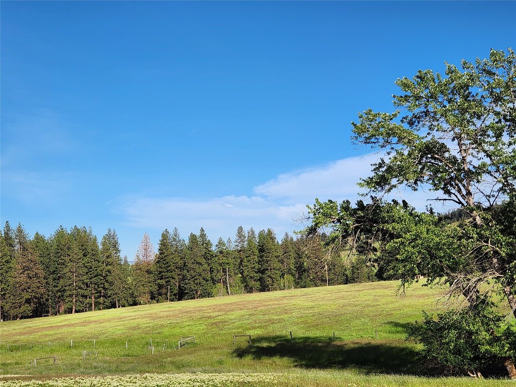 Picture 45