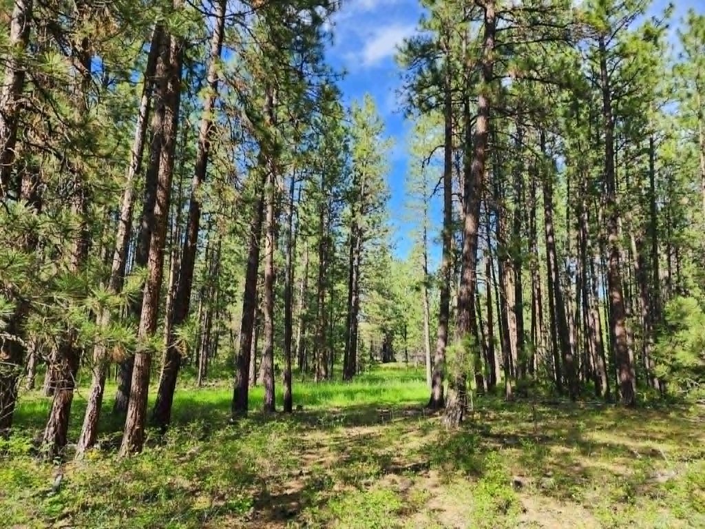 Picture 5