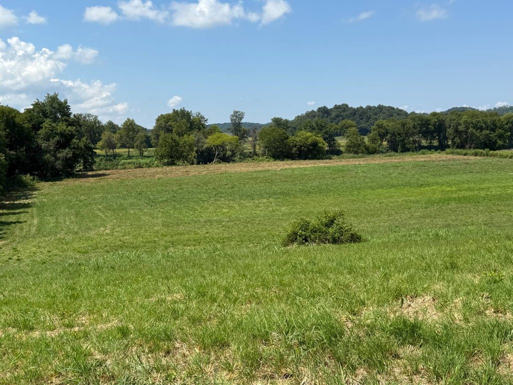 Picture 43