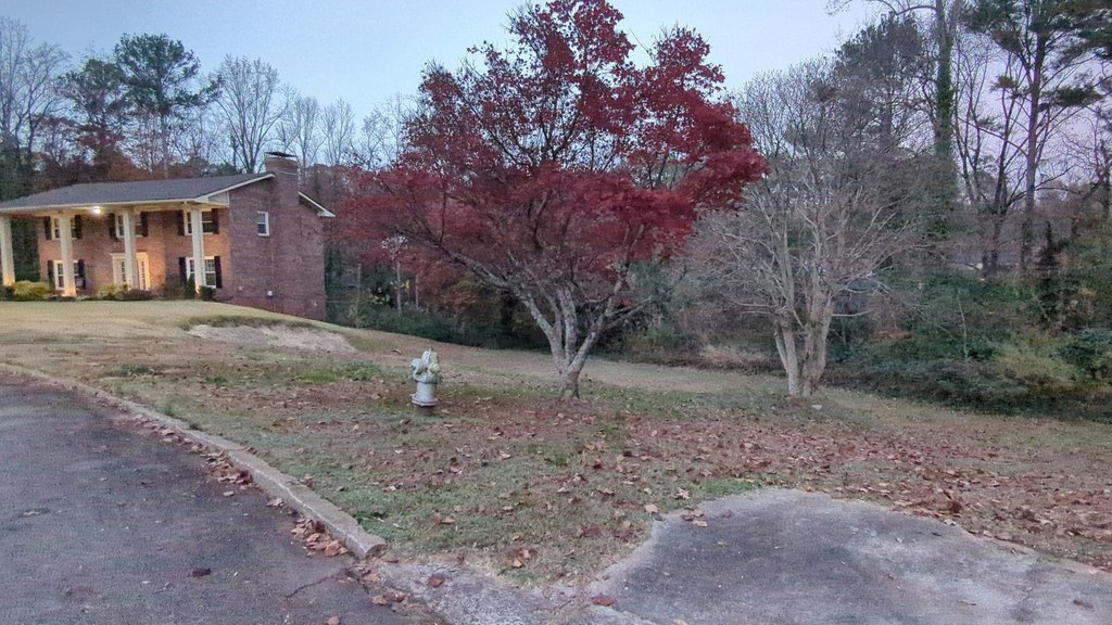 Picture 5