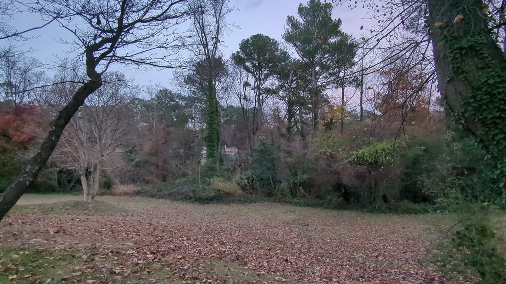 Picture 15