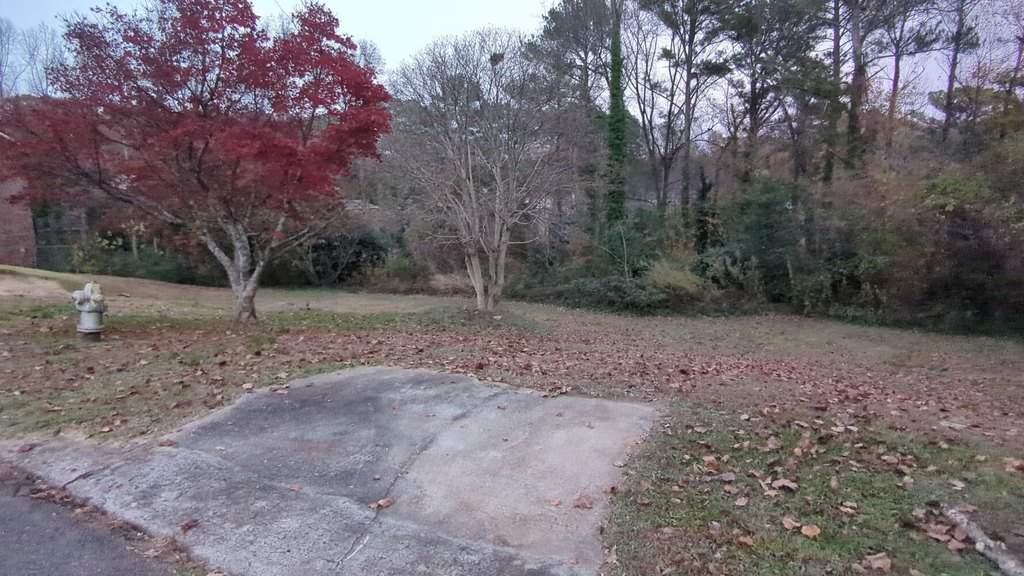 Picture 3