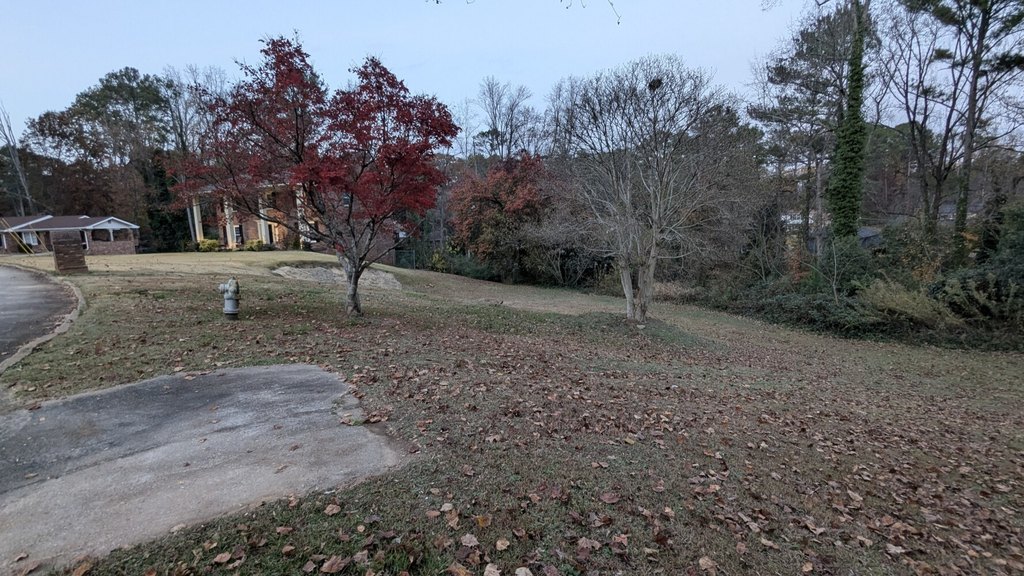 Picture 6