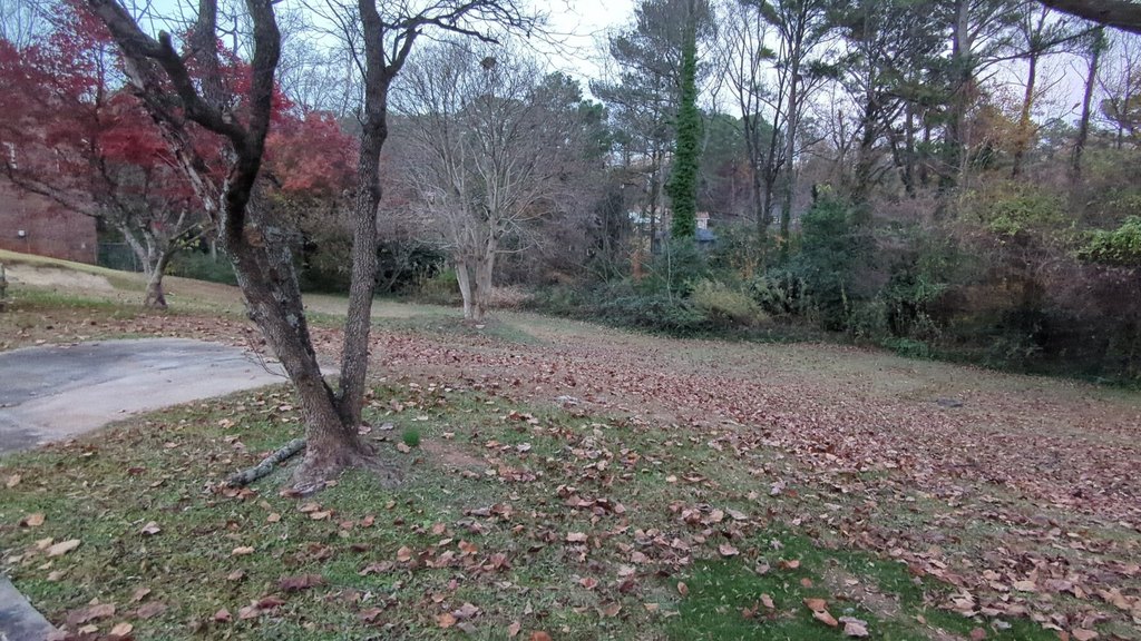 Picture 21