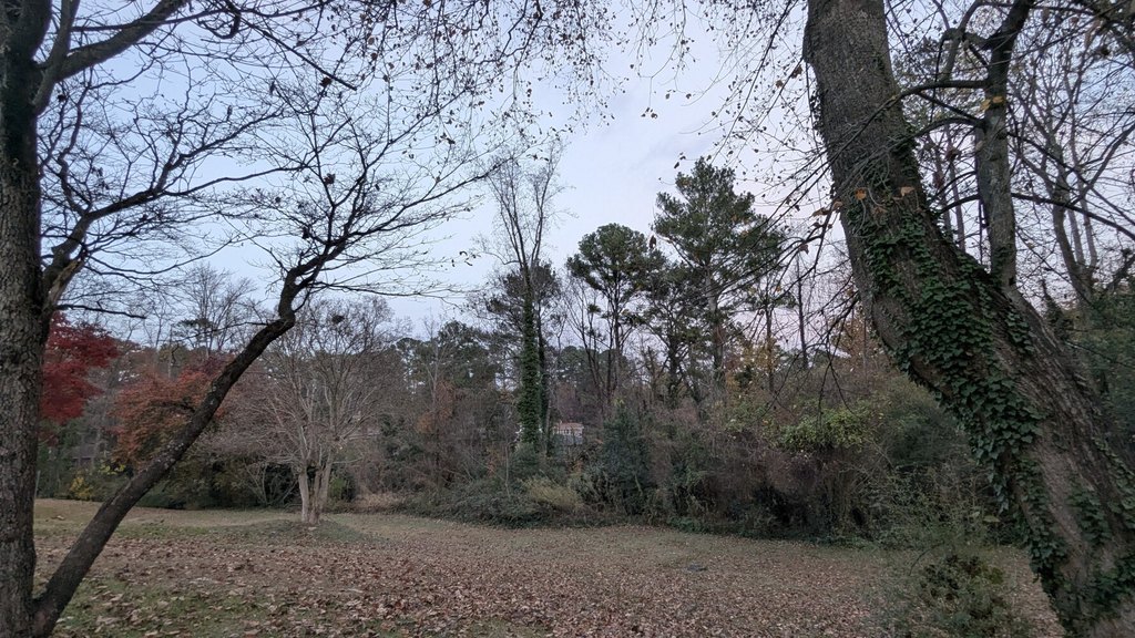 Picture 16