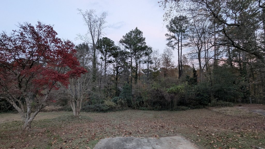 Picture 9