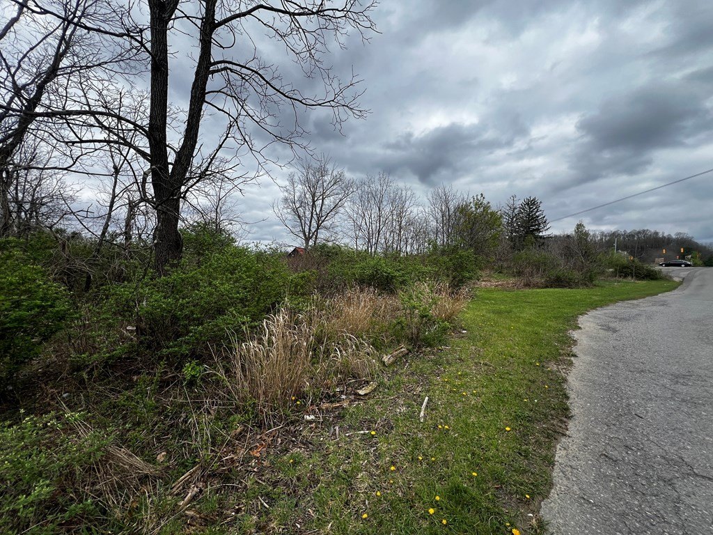 Picture 6