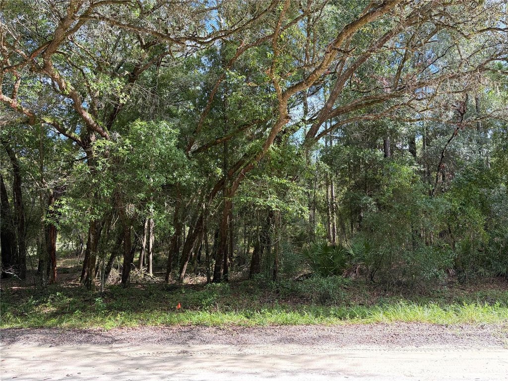 Picture 3