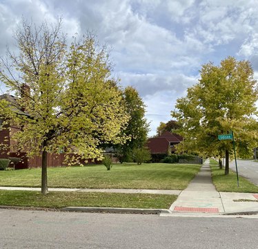 Detroit Land in Boston-Edison