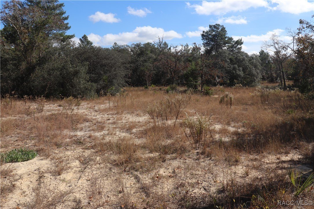 Dunnellon, FL Land Opportunity