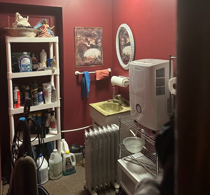 Picture 14