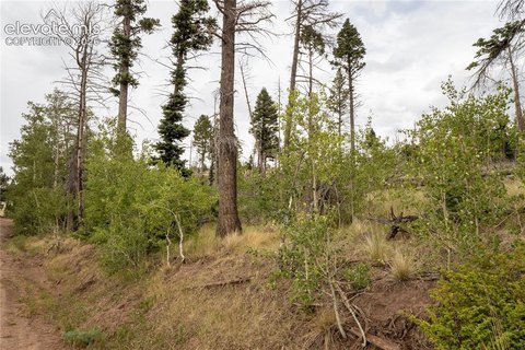 Land, Fort Garland, CO
