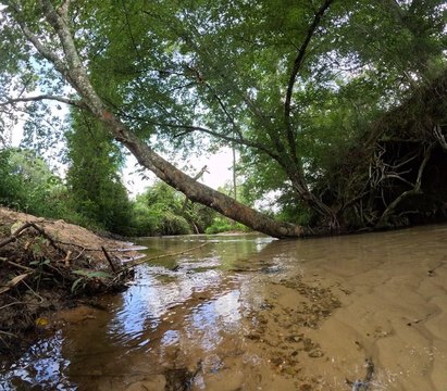 Recreational Retreat with Income Potential