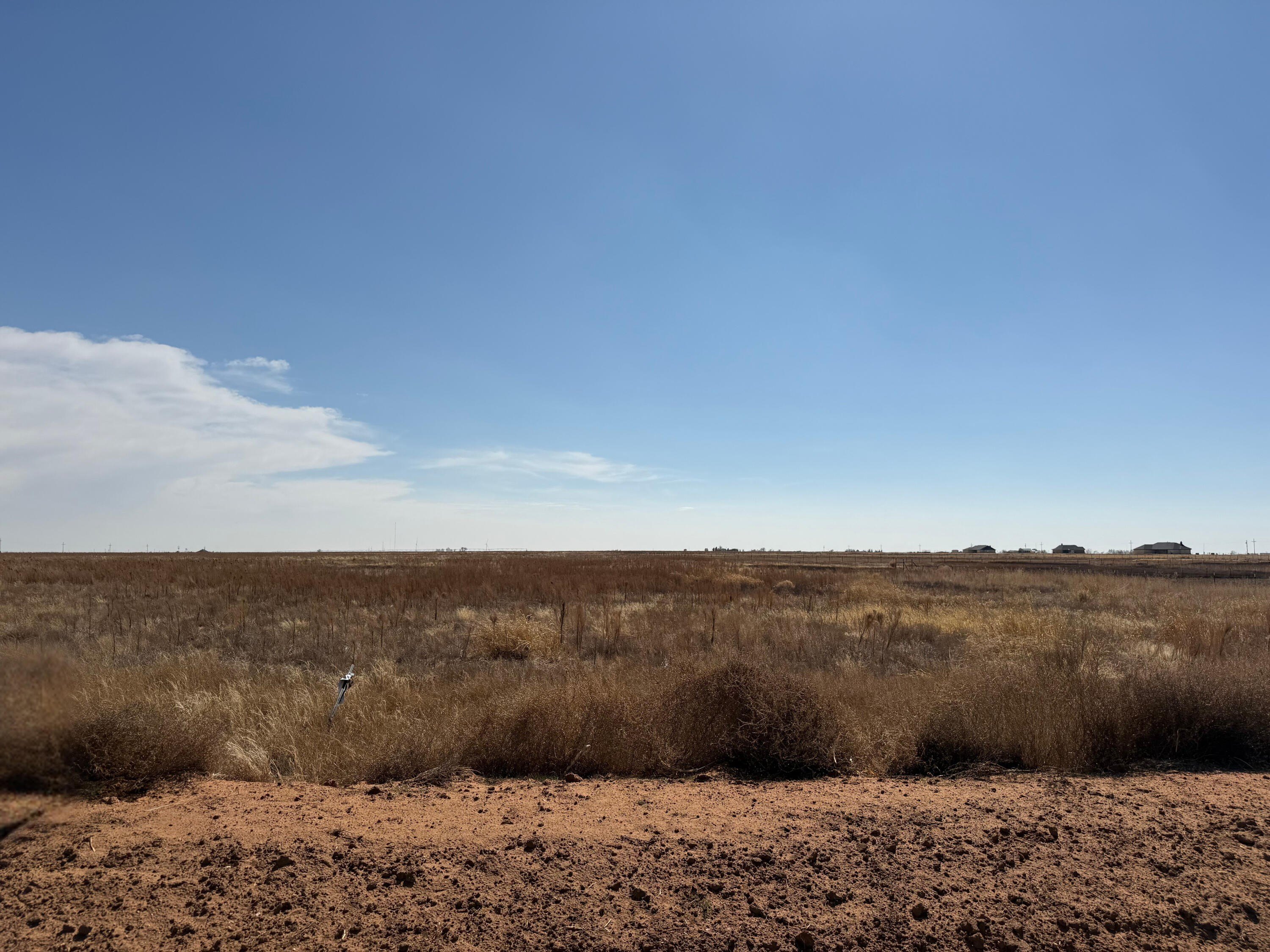 20 Acres in Shallowater, TX
