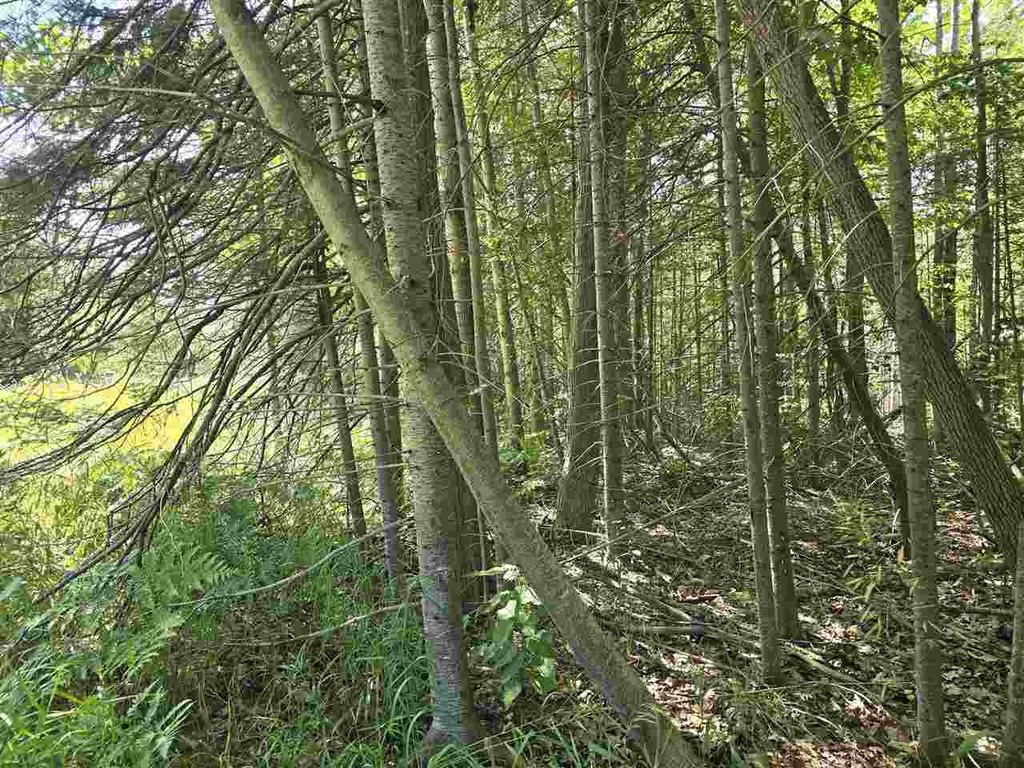 Picture 10