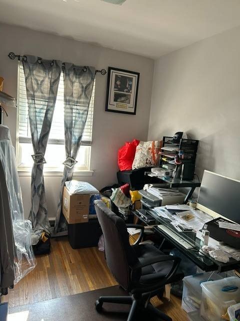 Picture 19