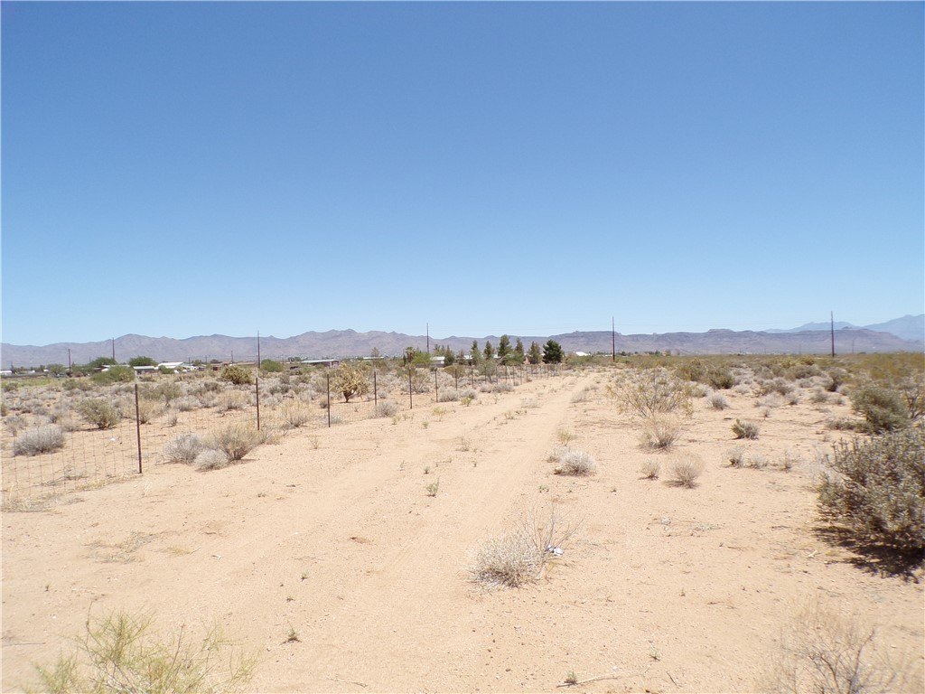 Picture 42