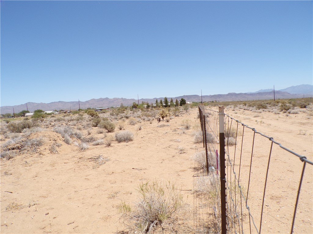 Picture 39