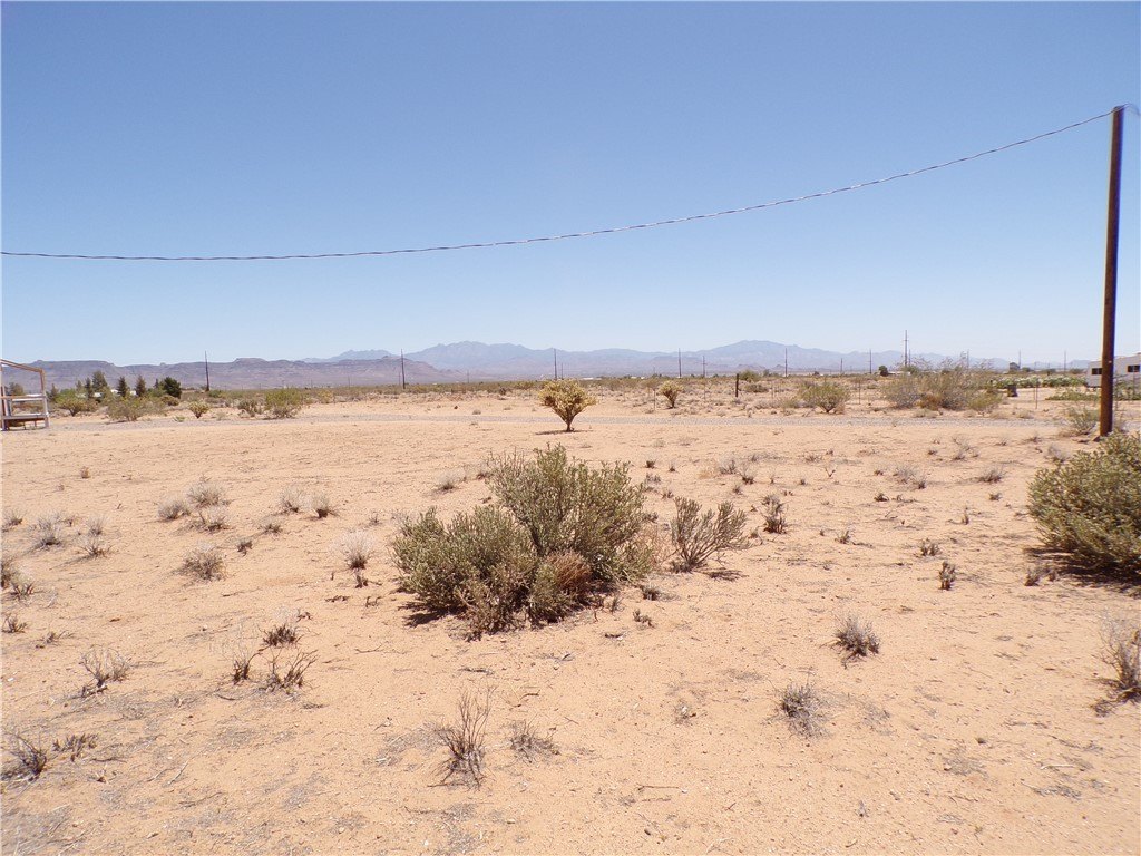 Picture 24