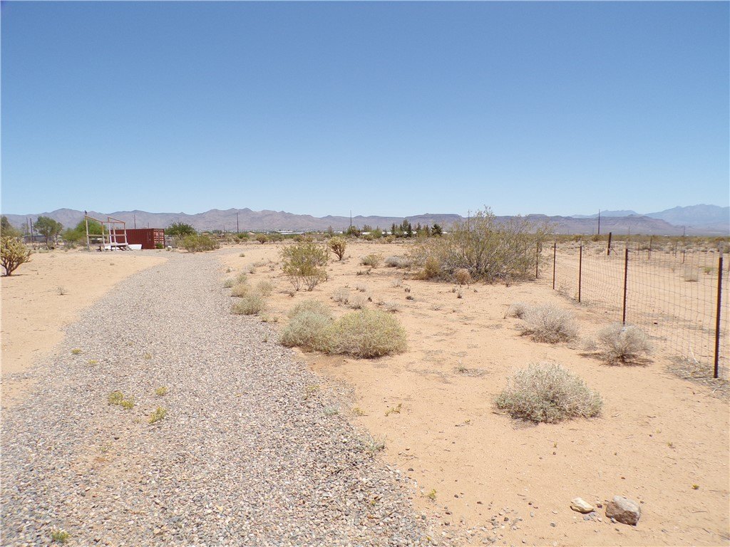 Picture 20