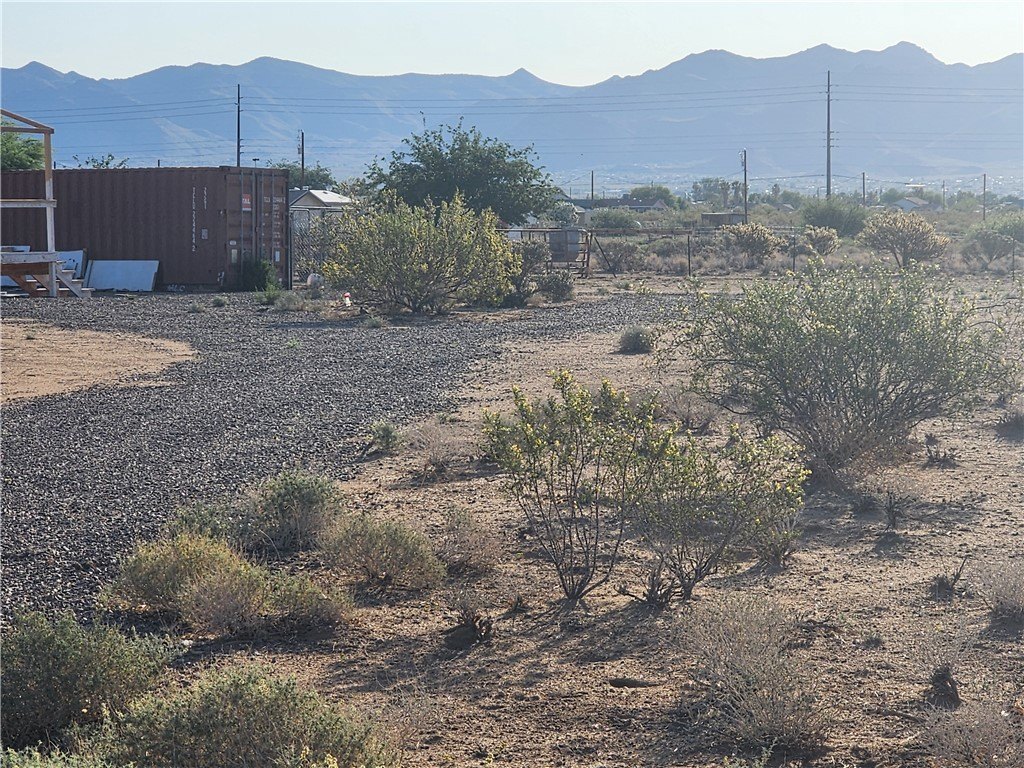 Picture 9
