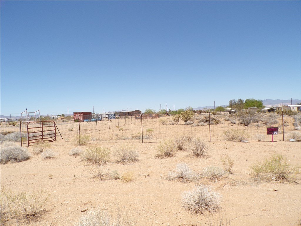 Picture 41