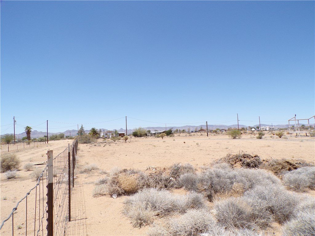 Picture 31