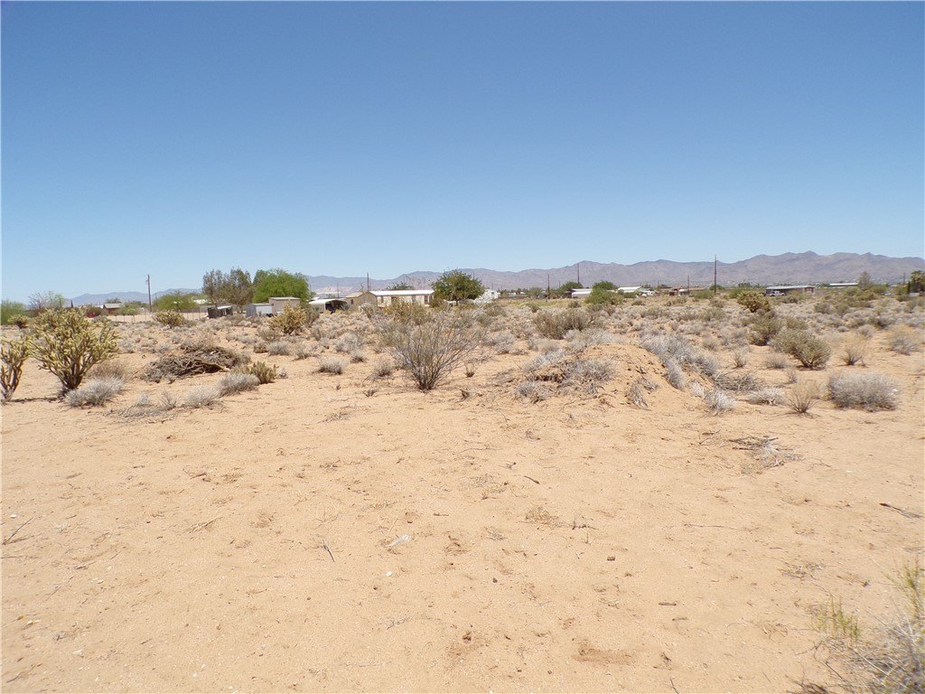 Picture 37