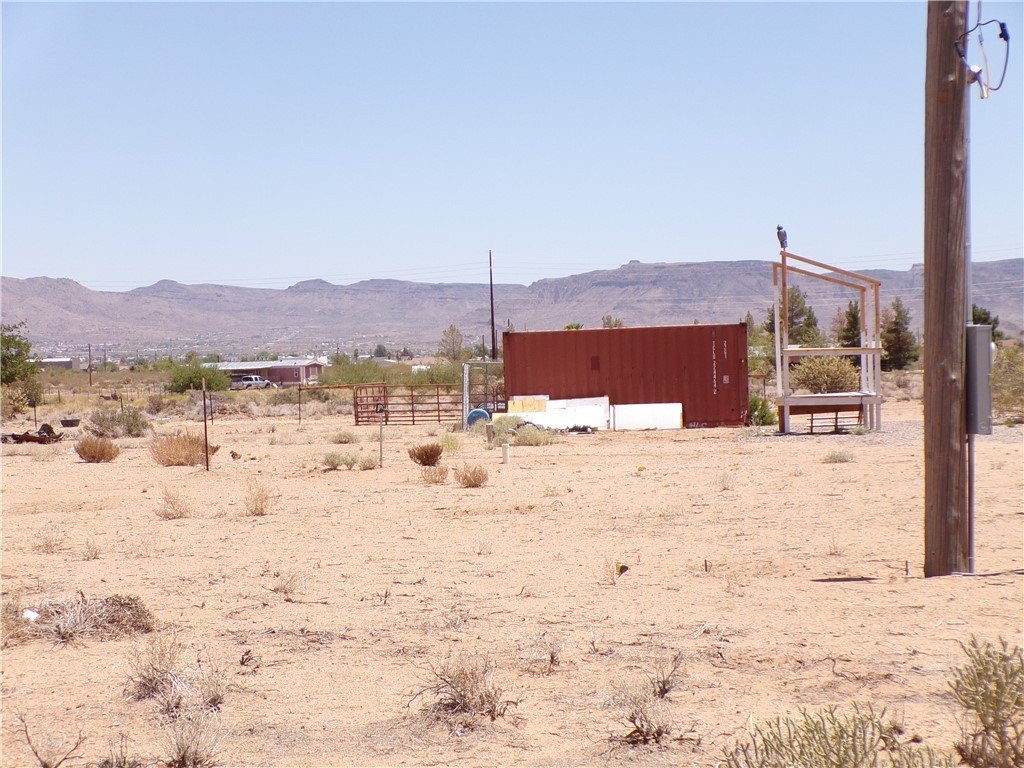 Picture 25