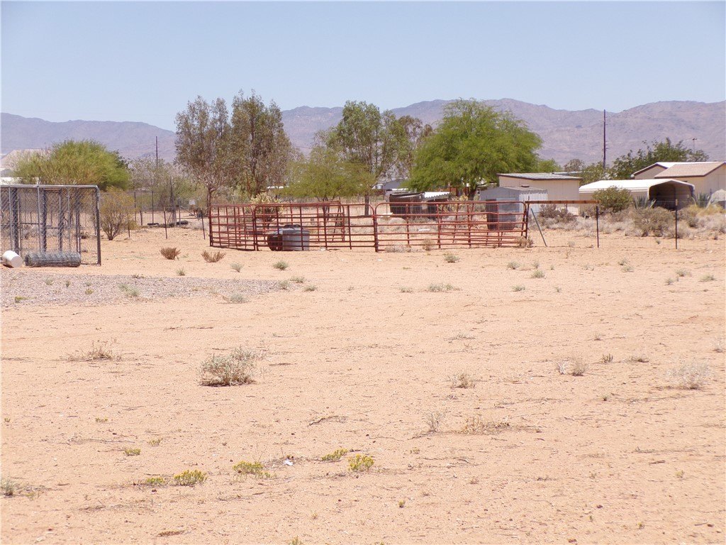 Picture 28
