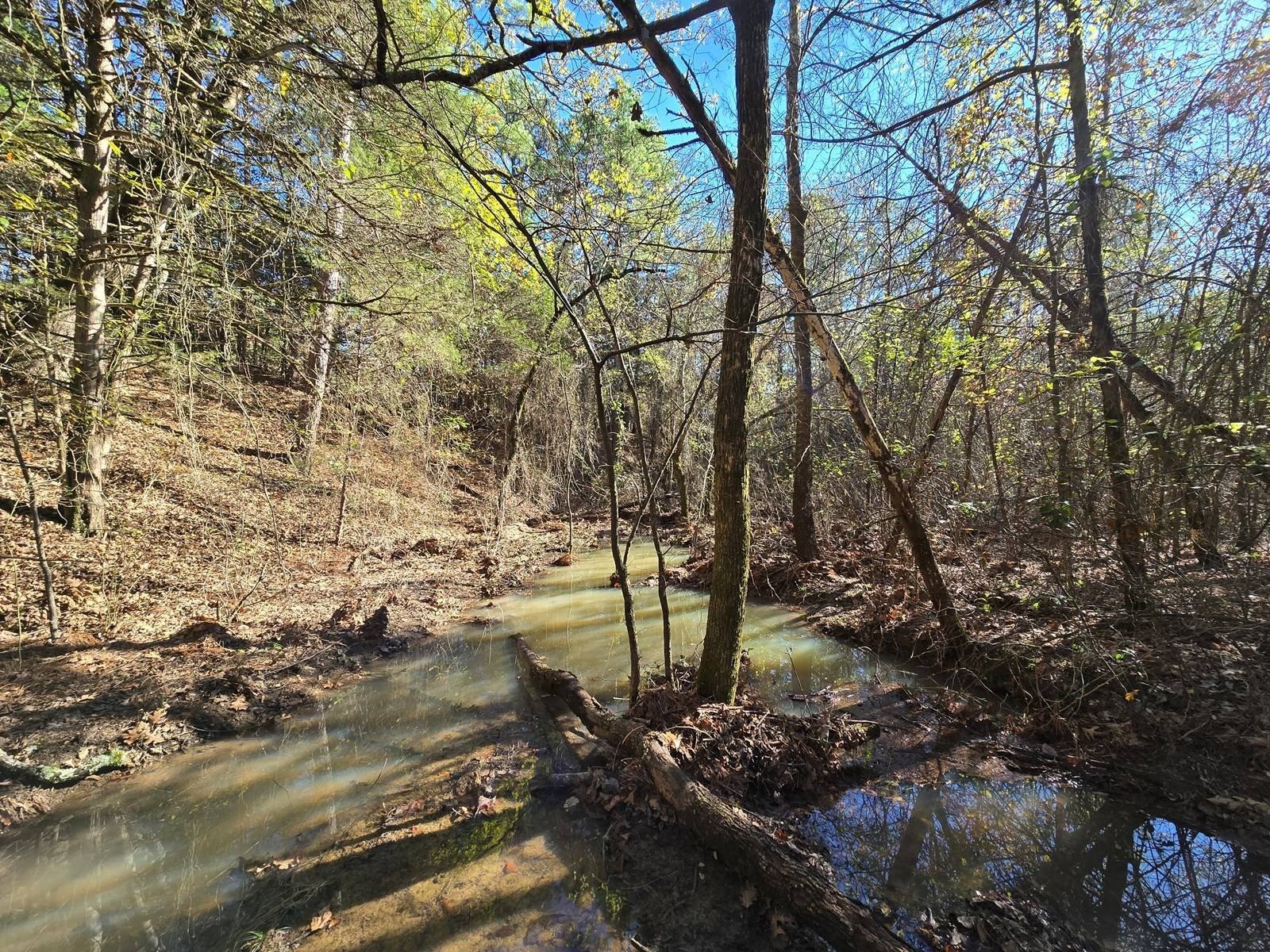 Secluded Land Near National Forest