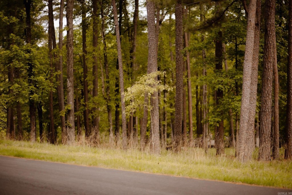 Picture 13