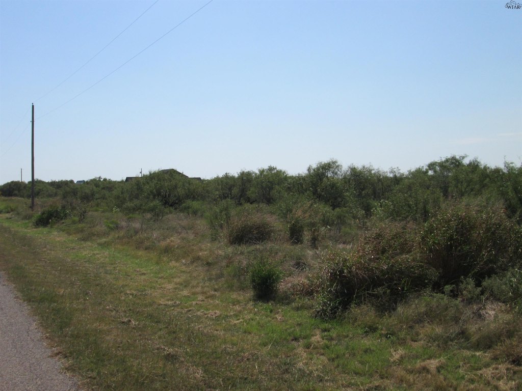 Picture 2