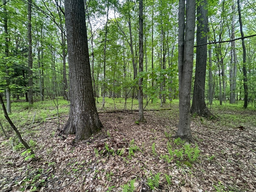 Picture 20