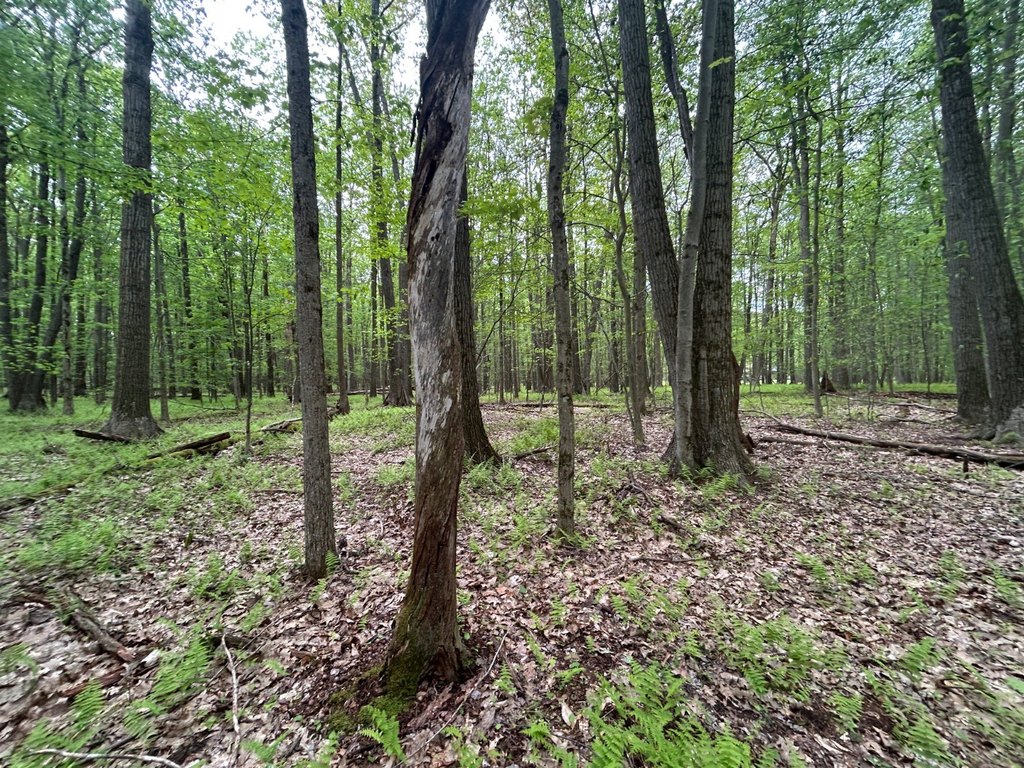 Picture 16