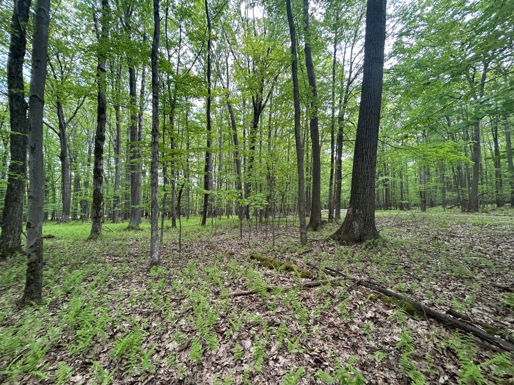 Picture 29