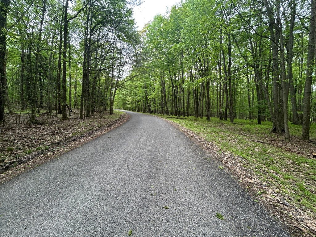 Picture 31