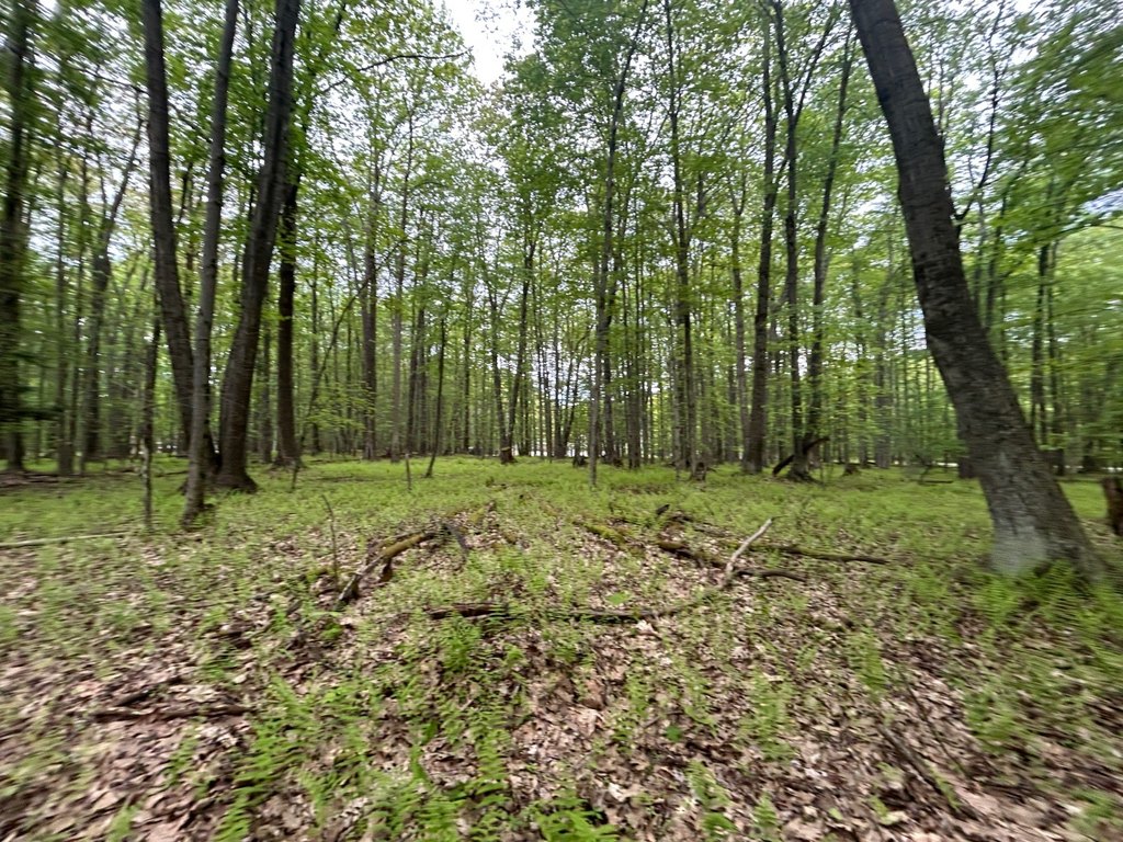 Picture 22